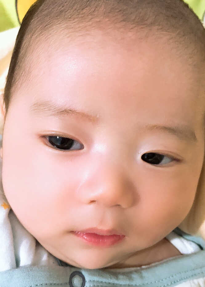 模特-