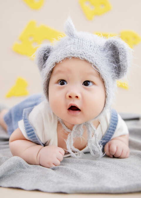 模特-