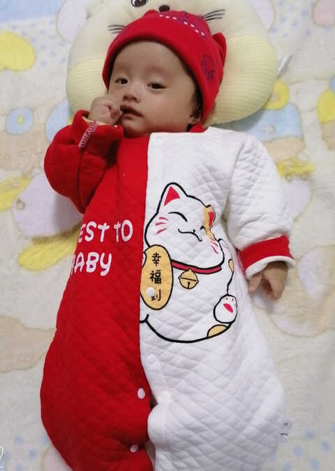 模特-