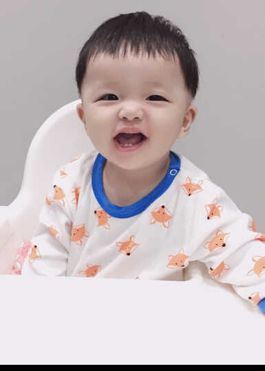 模特-