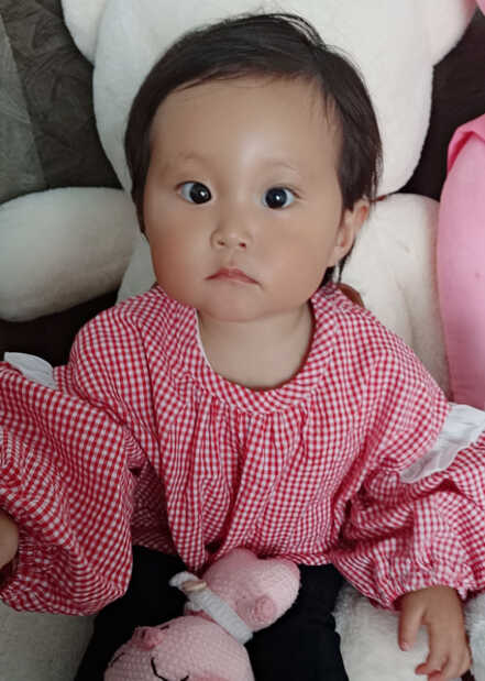 模特-