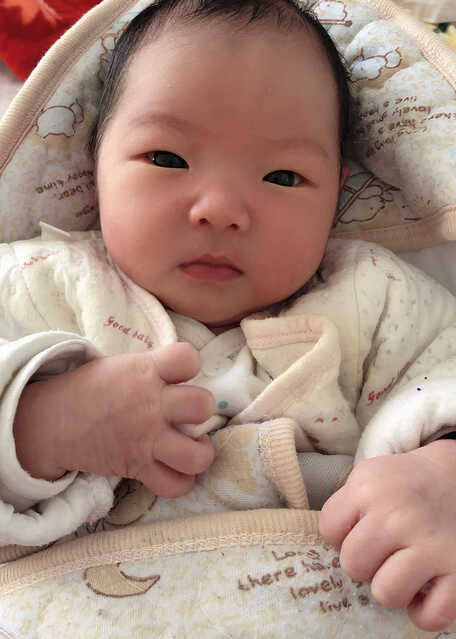 模特-