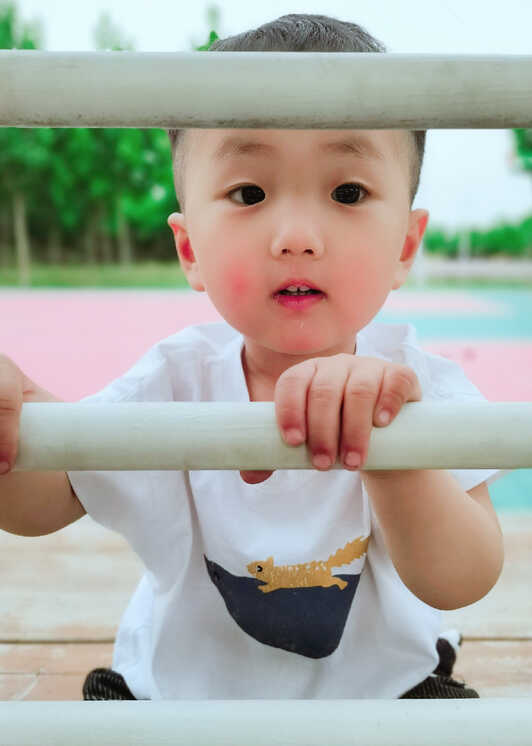模特-