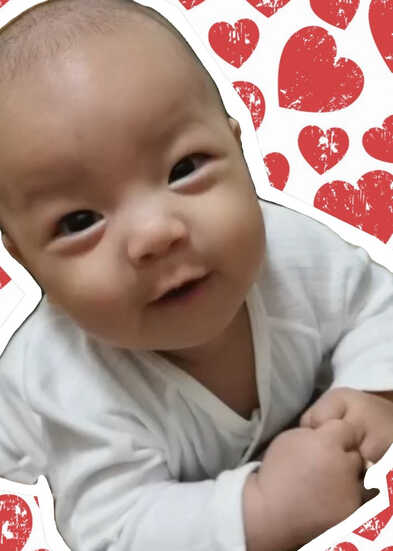 模特-