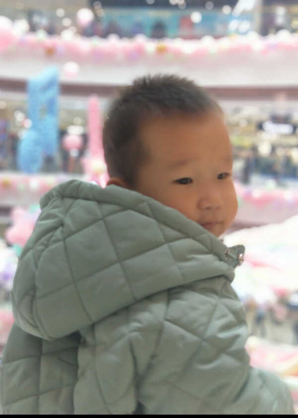 模特-