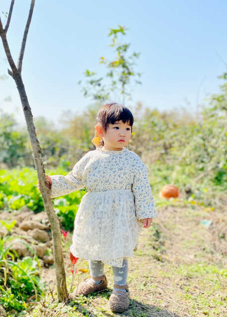 模特-