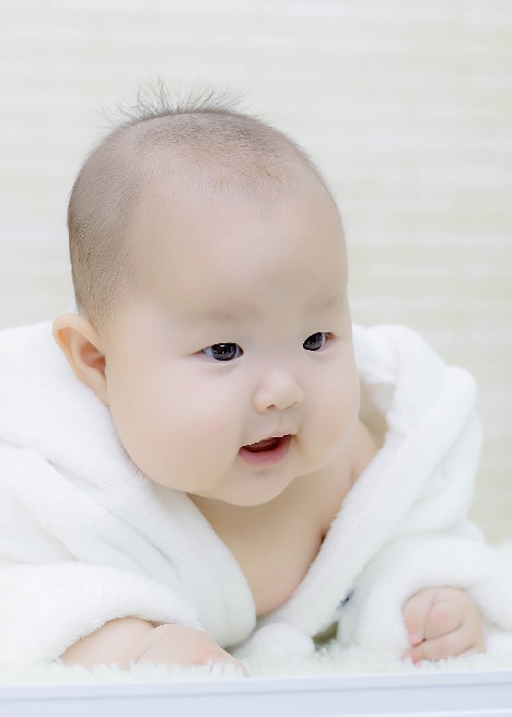 模特-