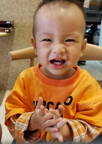 模特-