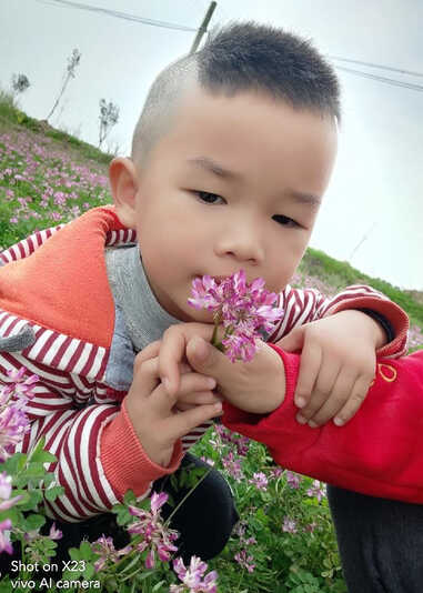模特-