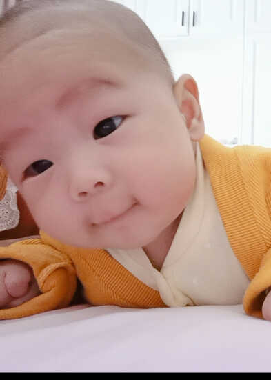 模特-