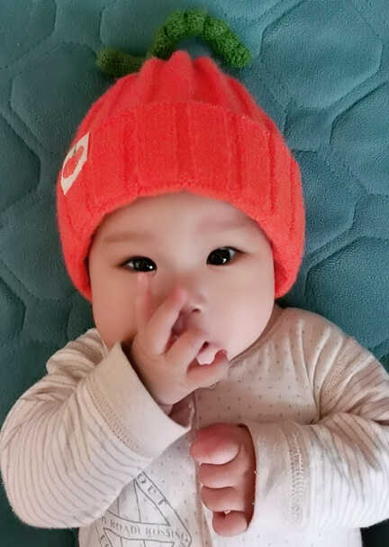 模特-