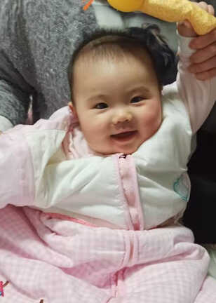 模特-