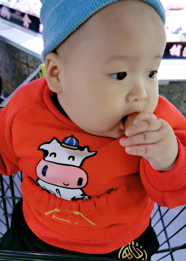 模特-