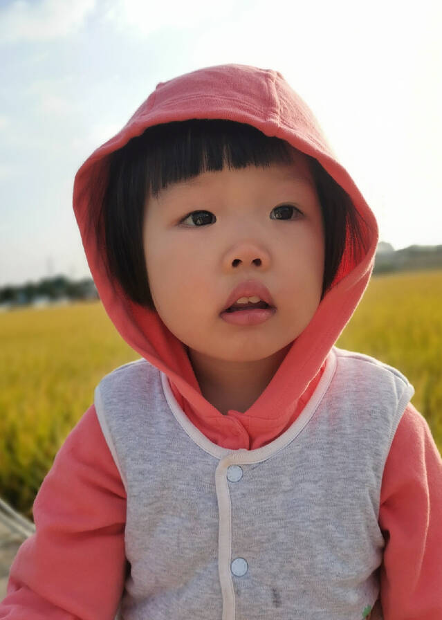 模特-