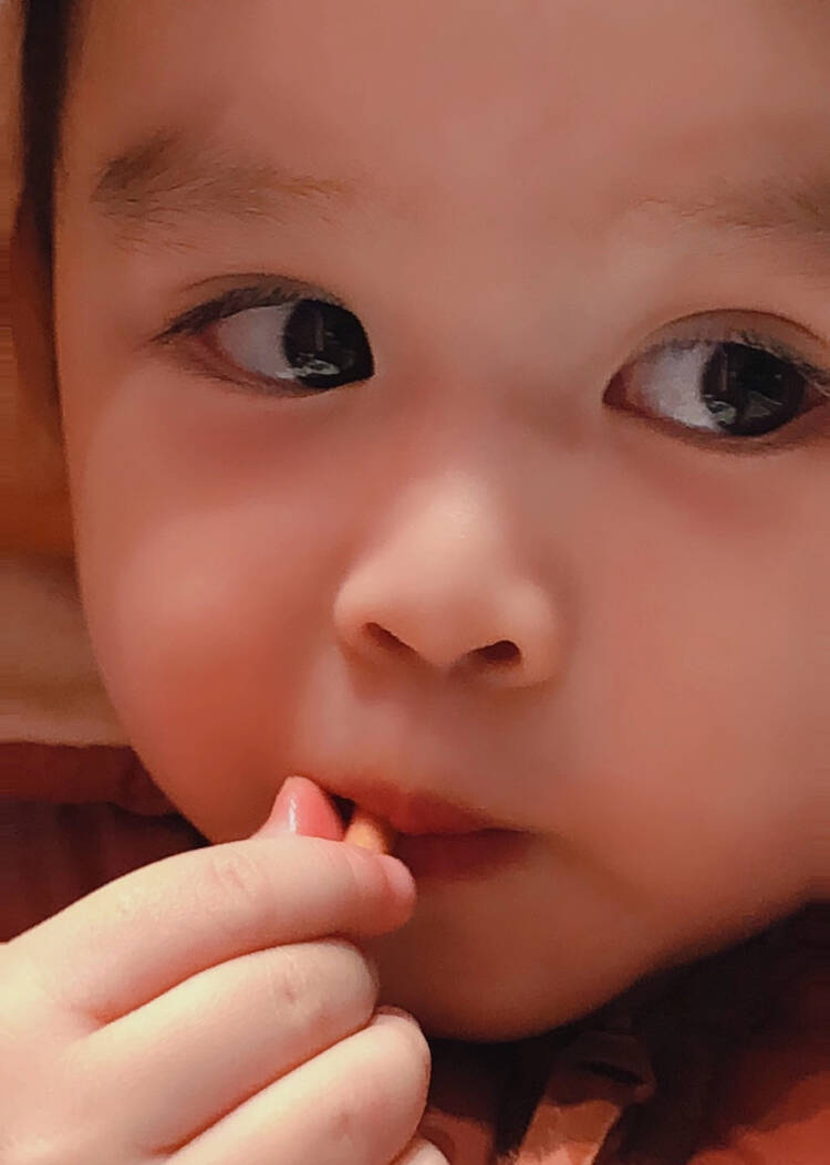 模特-