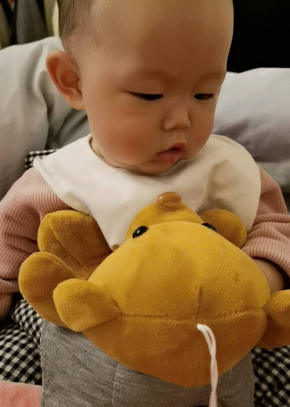 模特-