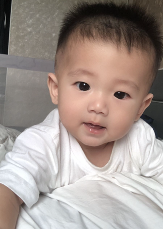 模特-