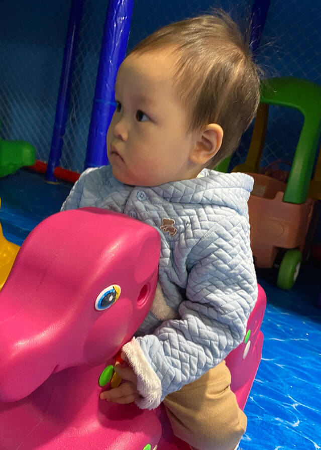 模特-