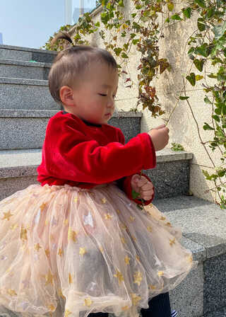 模特-