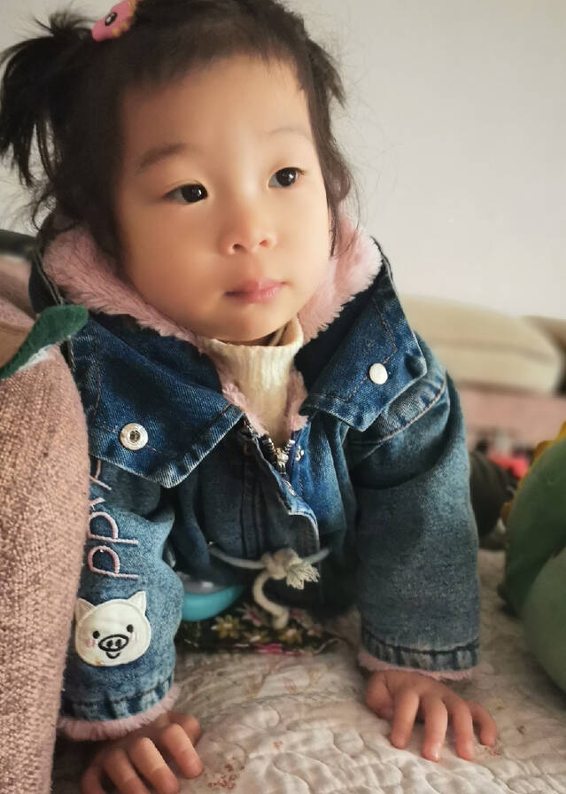 模特-