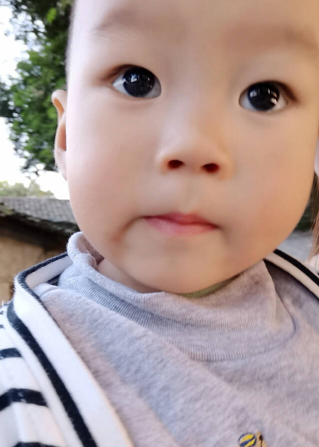 模特-