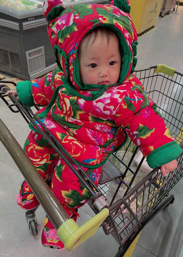 模特-