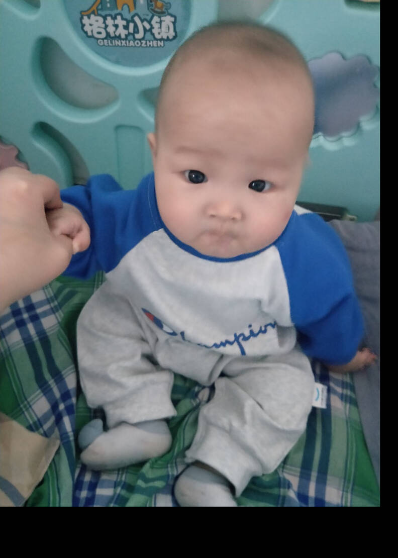 模特-