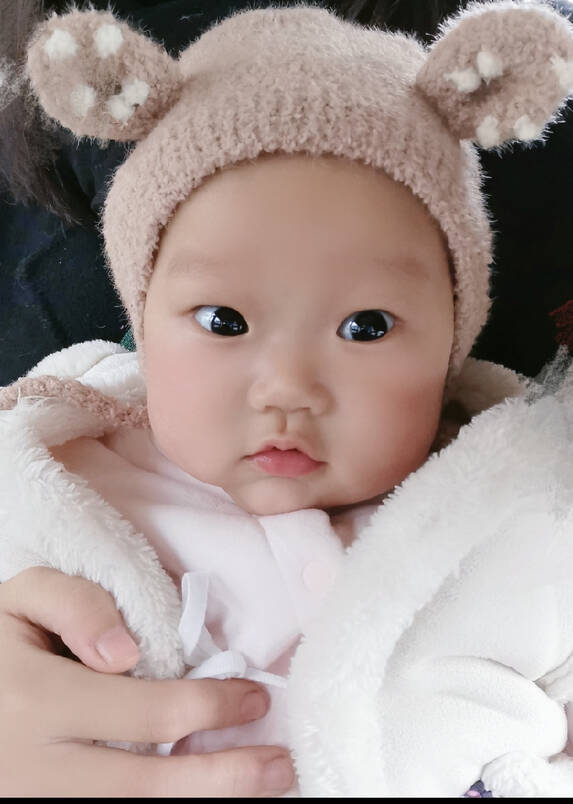 模特-