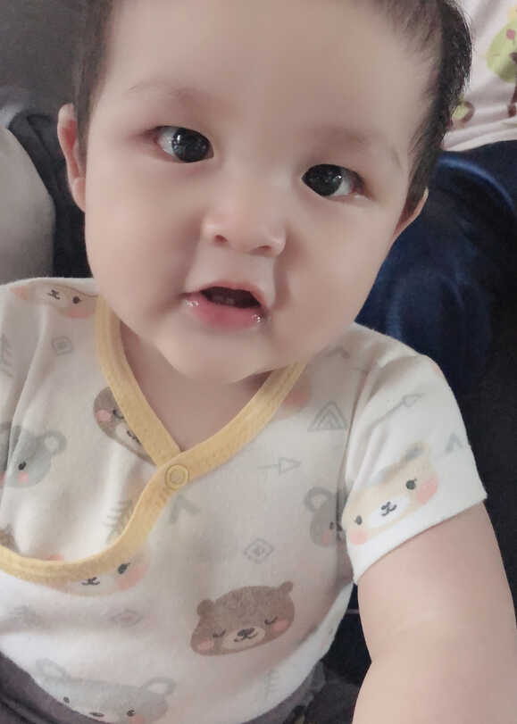 模特-