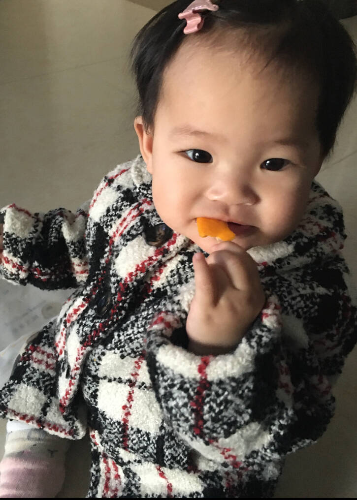 模特-