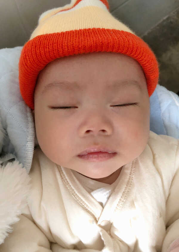 模特-