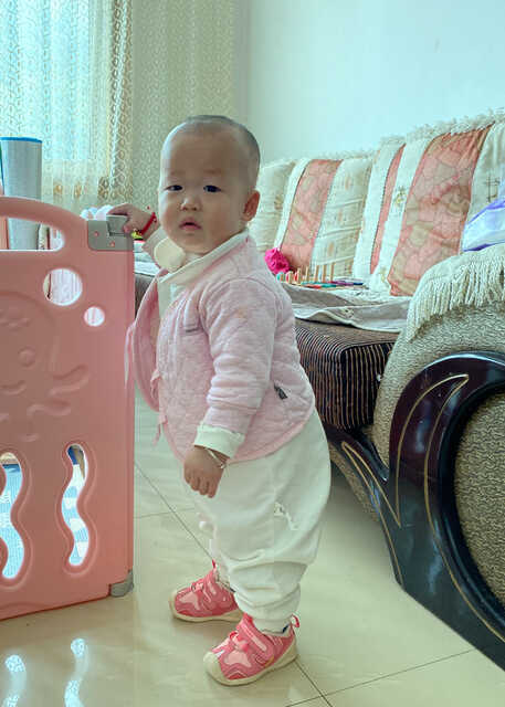 模特-