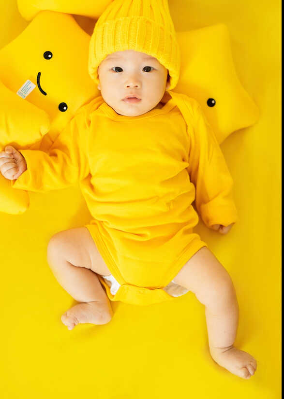 模特-