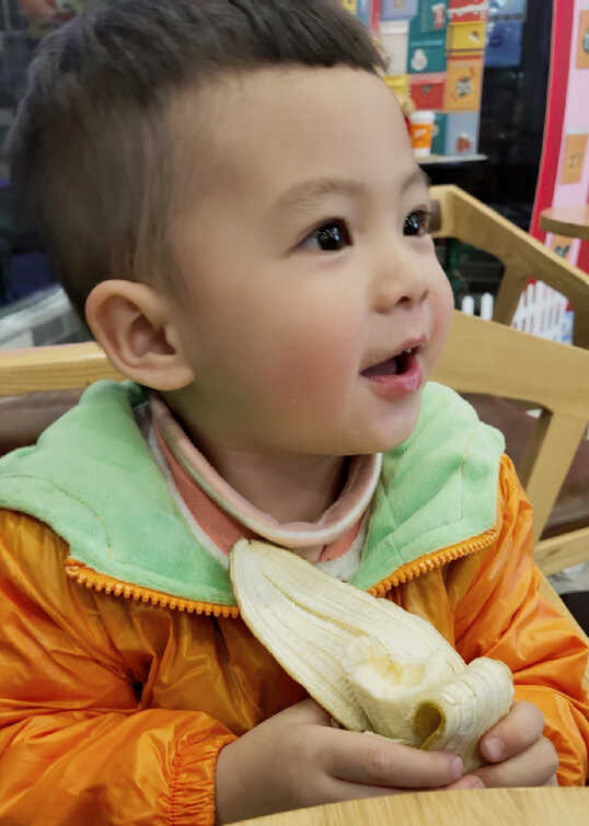 模特-