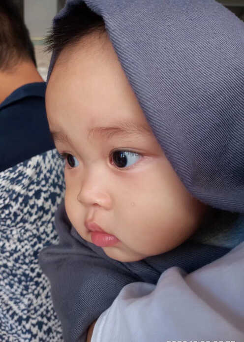 模特-
