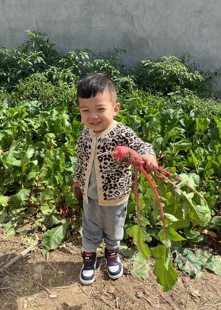 模特-