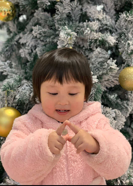 模特-