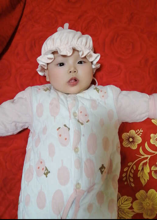 模特-
