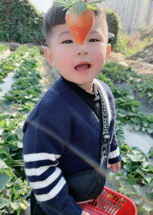 模特-