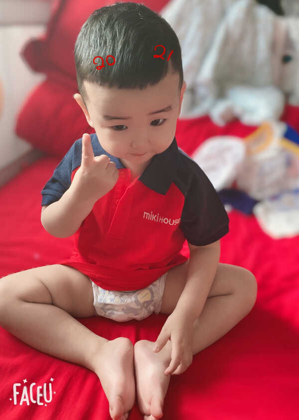 模特-