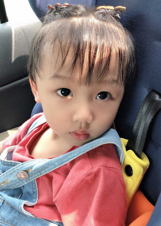 模特-
