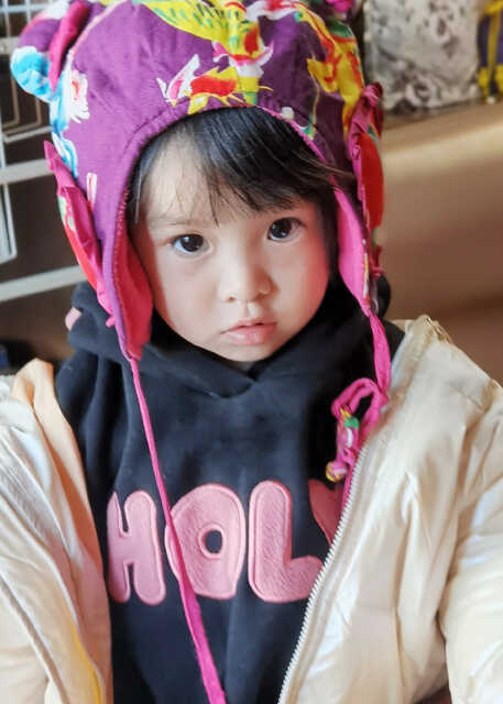 模特-