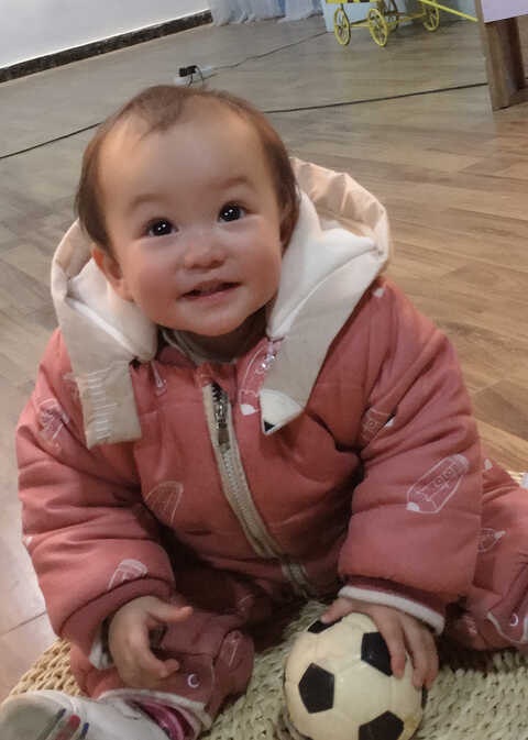 模特-