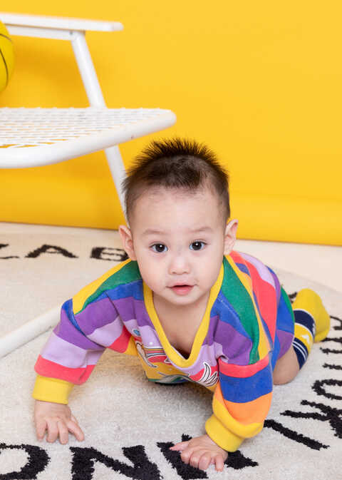 模特-