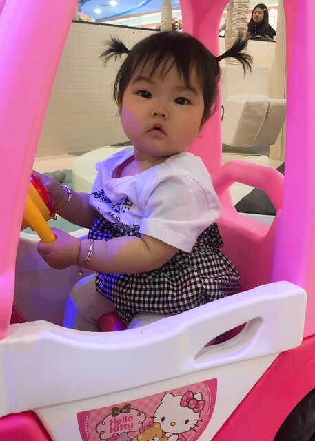模特-