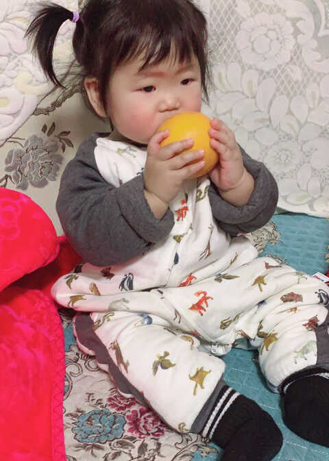 模特-