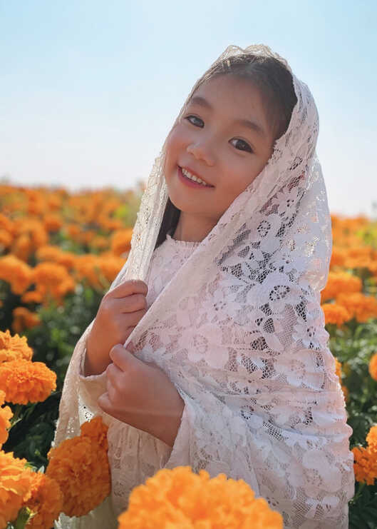 模特-