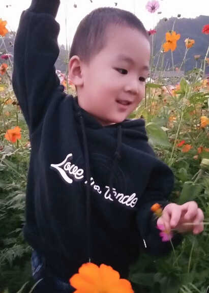 模特-