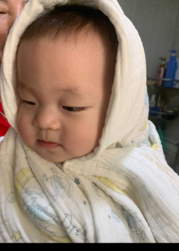 模特-