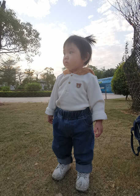 模特-